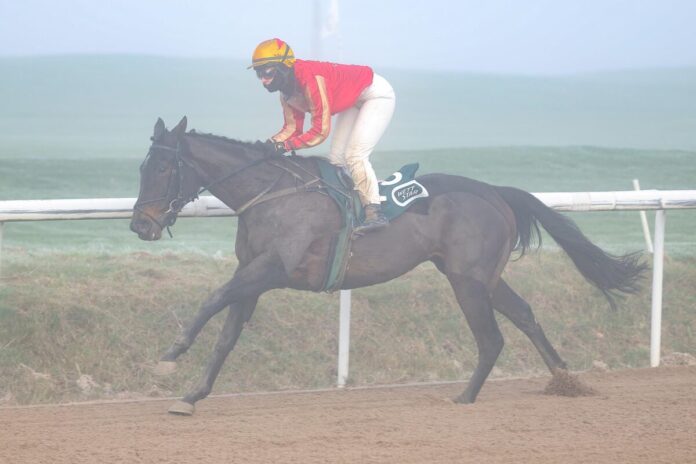 Adjö siegt unter Nina Baltromei