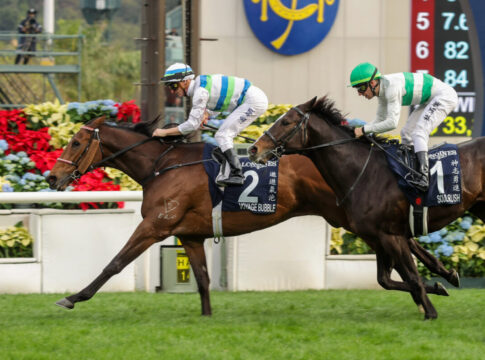 Voyage Bubble (HKJC)