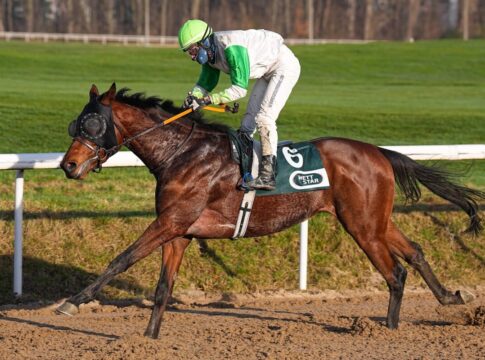 Aral siegt unter Sean Byrne