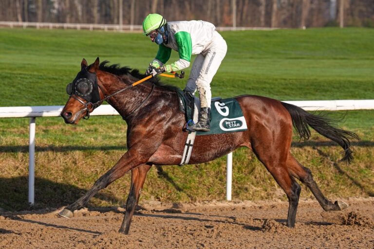 Korpas-Form steht: Aral erneut ganz souverän