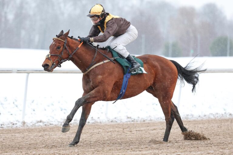 Artistic Mission siegt unter Michaela Malacova