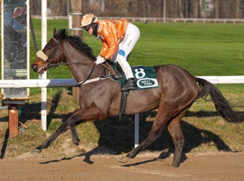 Charming Lady überlegen im Ausgleich IV Charming Lady siegt unter Michaela Musialova