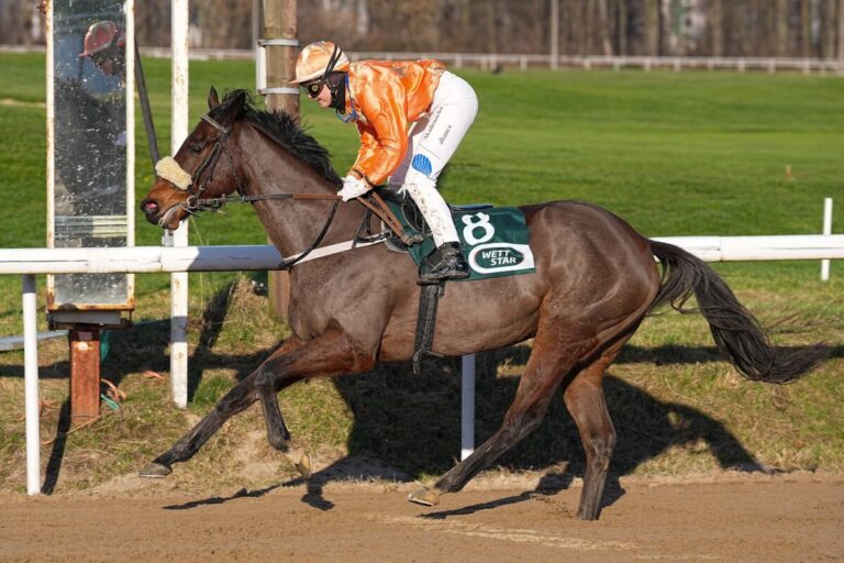 Charming Lady überlegen im Ausgleich IV