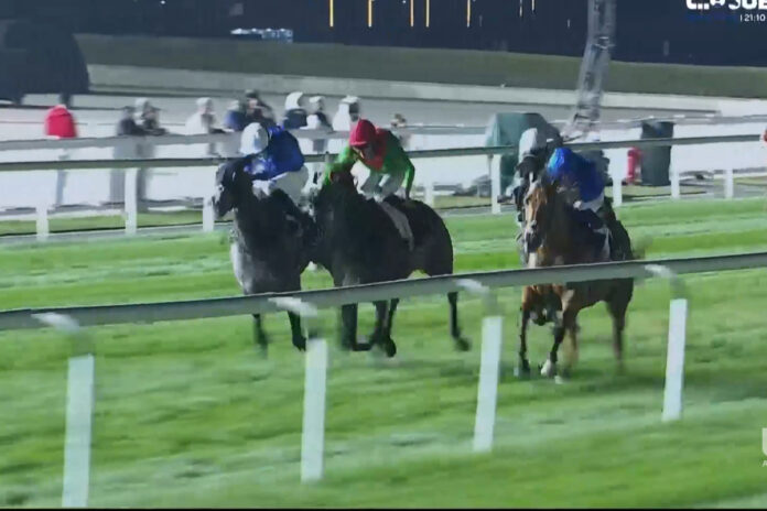 Dubai Beach gewinnt gegen Quid Pro Quo und Dubai Treasure (v.li.) Foto: Screenshot