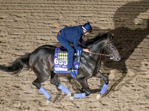 Goal Oriented Foto: John Voorhees/Eclipse Sportswire/Breeders Cup
