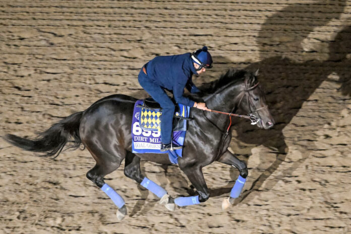 Goal Oriented Foto: John Voorhees/Eclipse Sportswire/Breeders Cup Goal Oriented Foto: John Voorhees/Eclipse Sportswire/Breeders Cup