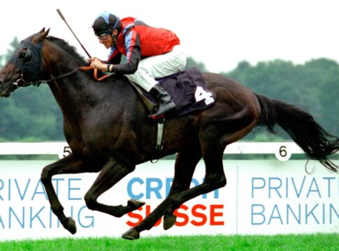 König Shuffle siegt unter Adrie de Vries