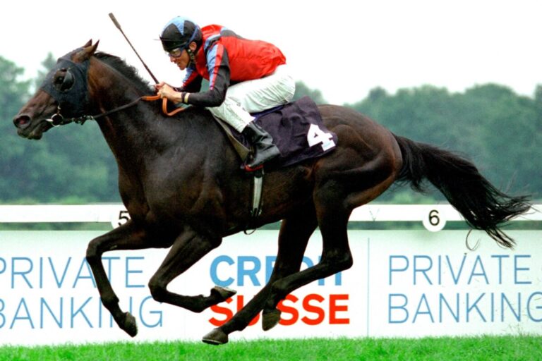 König Shuffle siegt unter Adrie de Vries