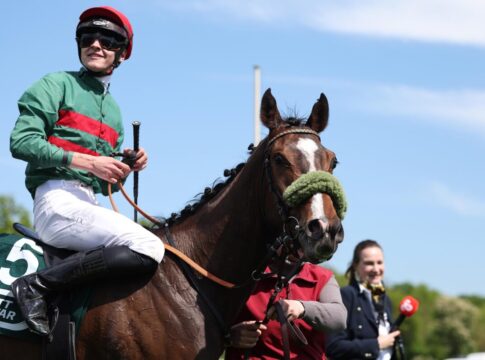 Dr. Busch-Memorial-Sieger Namaron in den USA erneut platziert Namaron