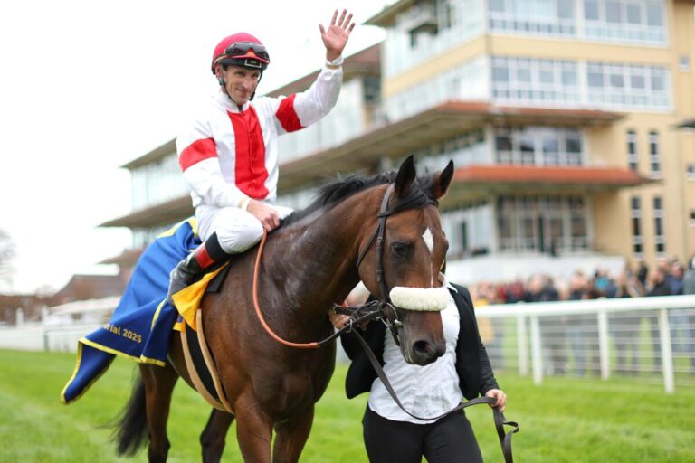 Von Si Seigneur bis Loucas: Andrasch Starke in Zahlen