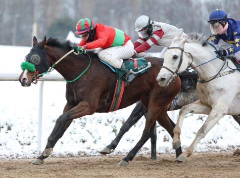 Maharani siegt unter Leon Wolff