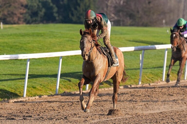 Dortmund: Sieben Rennen, Super-Ausgleich III mit Viererwette