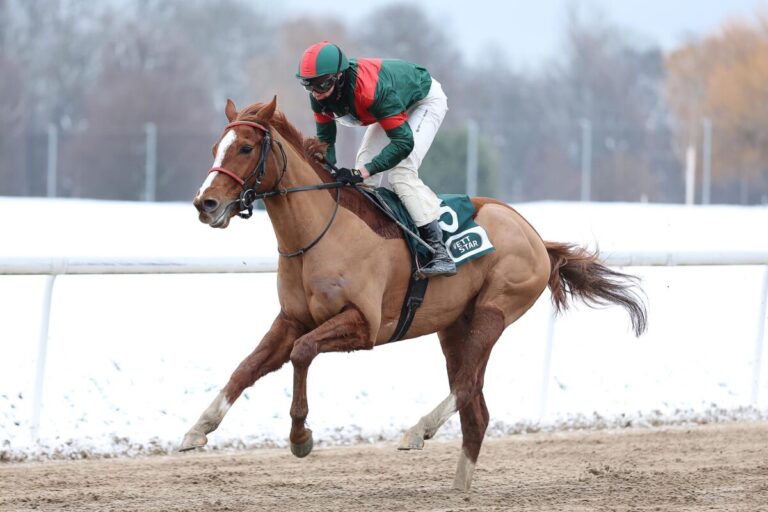 Master of Lips siegt unter Leon Wolff