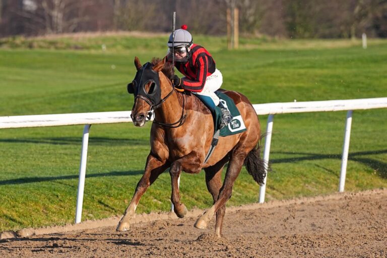 Sieben Rennen beim Sandbahn-Finale in Dortmund