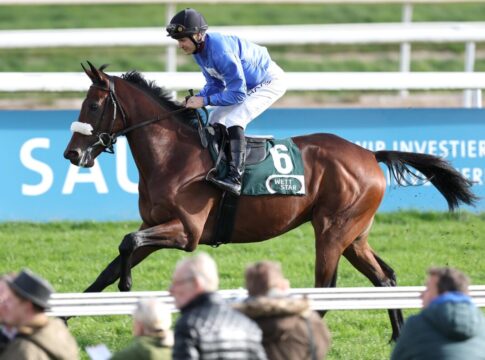 Wittekindshofer mit Derby-Nennung nach England verkauft Next Guilian