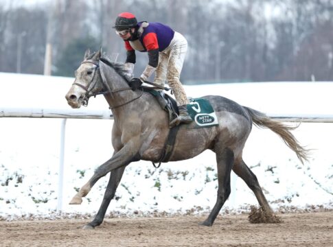 Night Ocean siegt unter Miguel Lopez