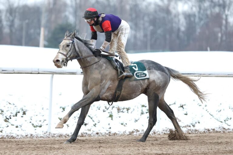 Night Ocean siegt unter Miguel Lopez