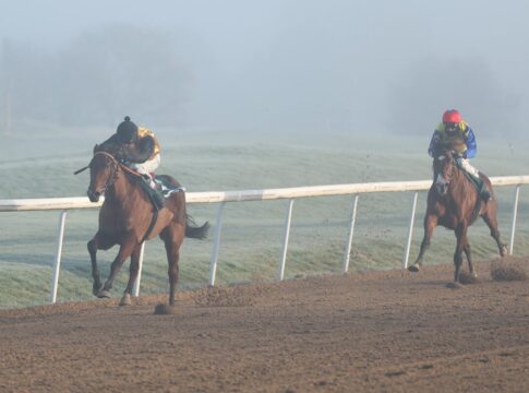 Trotz Dortmund-Niederlage: Turlow ist St. Moritz-Favorit der Bookies In Dortmund unterlag Turlow Ostseesonne