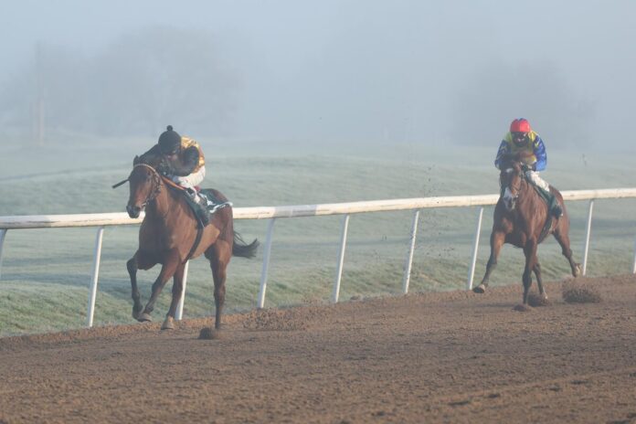 In Dortmund unterlag Turlow Ostseesonne