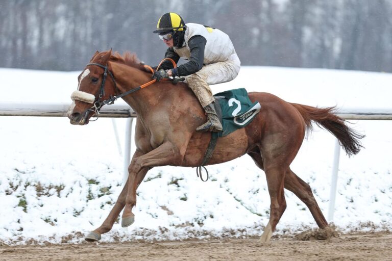 Primo Violetto siegt unter Koen Clijmans