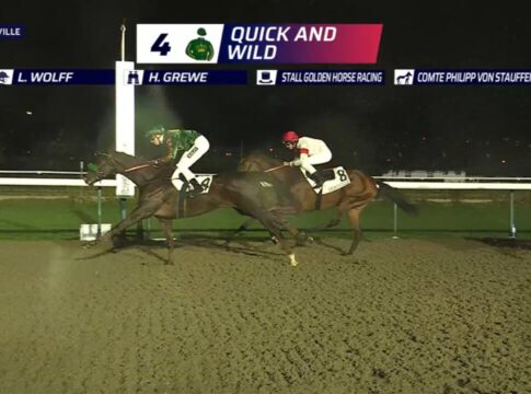 Quick and wild deauville