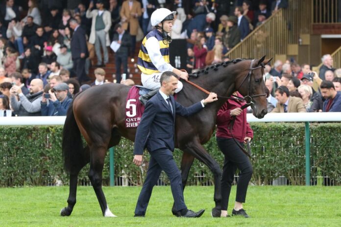 Sevenna's Knight bei der Parade zum Arc im Jahr 2024