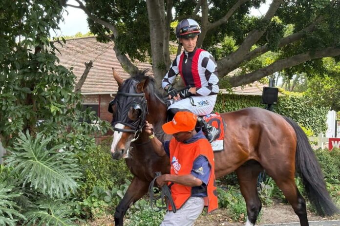 The Equator The Equator