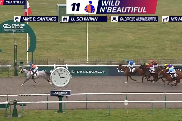 Wild N'Beautiful Wild N'Beautiful