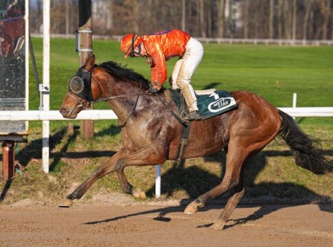 Wie erwartet - Zaroon macht Korpas-Hattrick perfekt Zaroon siegt unter Esentur Turganaaly Uulu