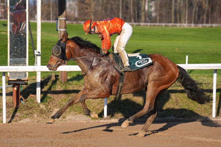 Korpas nicht zu stoppen – Hattrick von Zaroon