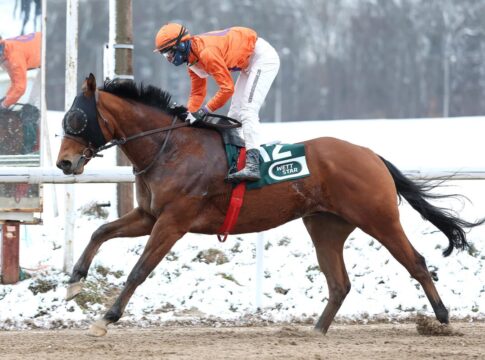 Zaroon siegt unter Sean Byrne