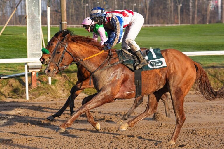 Zeraphina gewinnt und geht in die Zucht