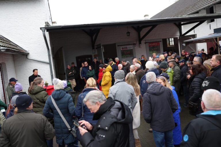Stimmungsvolle Hengstpräsentation in Schlenderhan