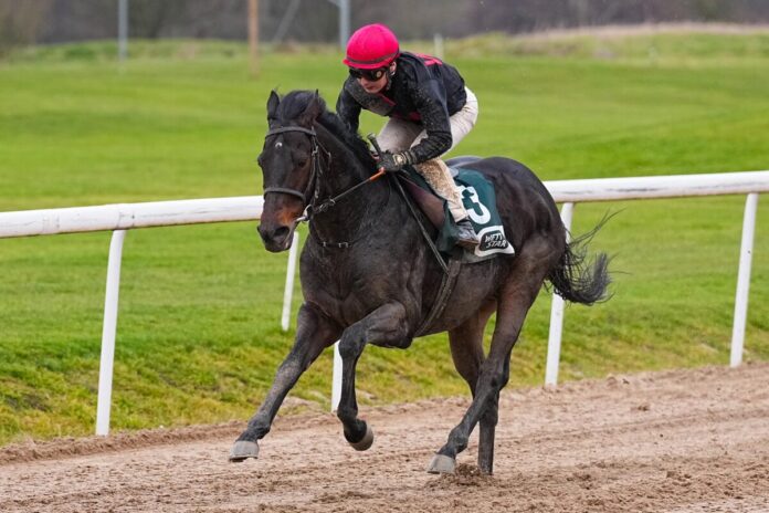 Aff Un Zo siegt unter Esentur Turganaaly Uulu