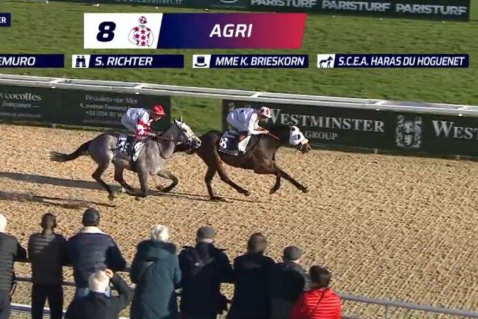 Agri siegt in Cagnes-sur-mer Foto: Screenshot Agri siegt in Cagnes-sur-mer Foto: Screenshot