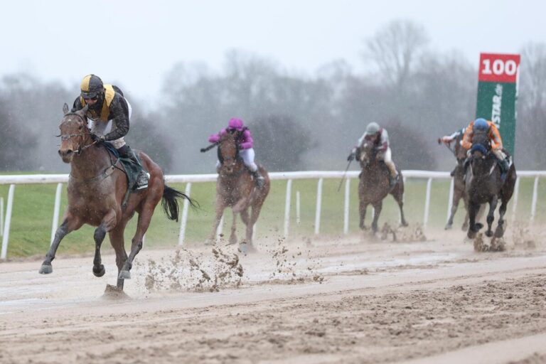 Artistic Mission siegt unter Nina Baltromei