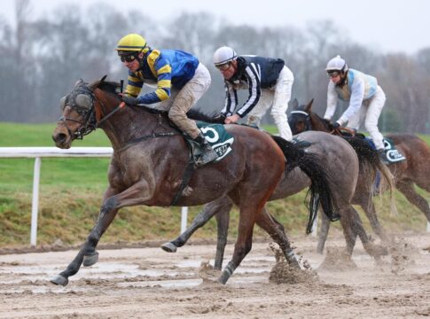 City Cat siegt unter Matthew S. Johnson