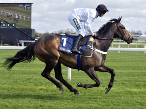 Constitution Hill (Archiv galoppfoto.de)