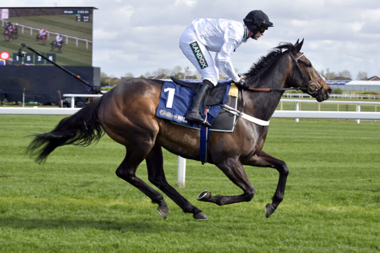 Constitution Hill (Archiv galoppfoto.de)