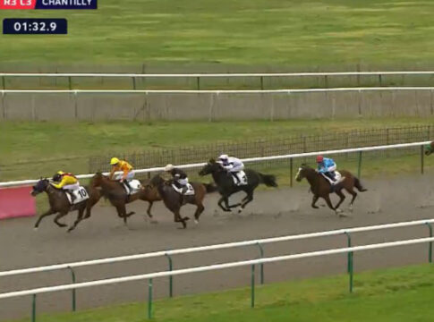 Dapango gewinnt Verkaufsrennen in Chantilly Dapango gewinnt in Chantilly Foto: Screenshot