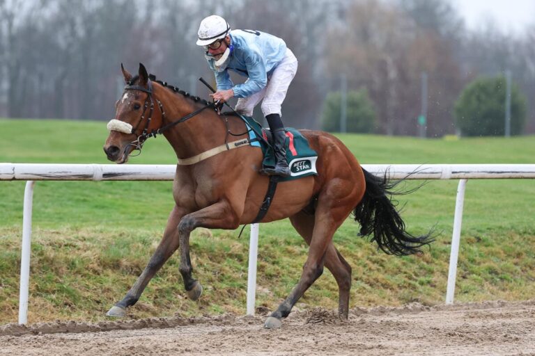 Grand Attentionne sorgt mit überlegenem Sieg für große Träume