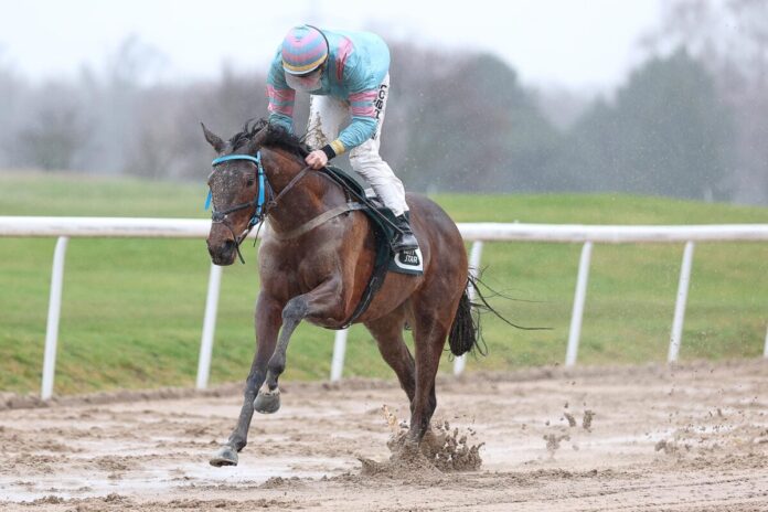 Herm siegt unter Benjamin Marie