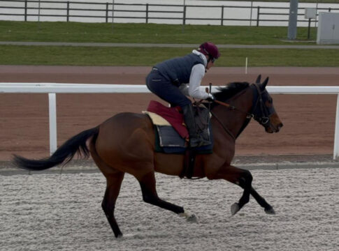 Belgien-Premiere in Riad: "Eine ziemlich große Sache für uns“ Iradie Foto: Gaelle Gernay
