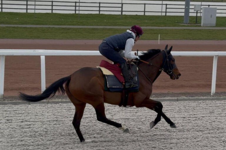 Iradie Foto: Gaelle Gernay