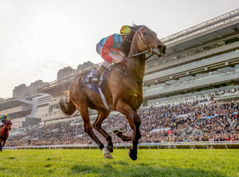 Wie erwartet: Ka Ying Rising stellt weitere Rekorde auf 2026: Hong Kong Racing : Silver Jubilee Cup