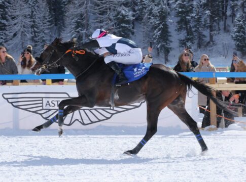 Snow Player Foto: White Turf Christian Mettler