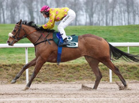 Tiffany Twisted siegt unter Martin Seidl