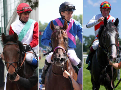 Waldemar, Zuender und Waldnebel stehen zur Wahl