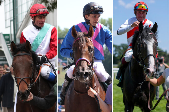 Waldemar, Zuender und Waldnebel stehen zur Wahl Waldemar, Zuender und Waldnebel stehen zur Wahl