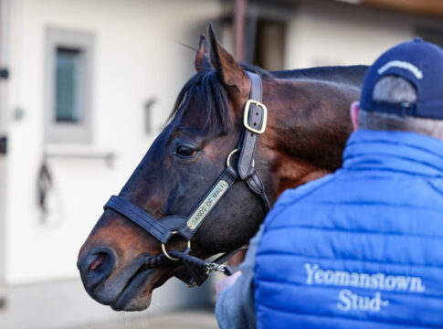 Sands of Mali (Foto: Effgen)